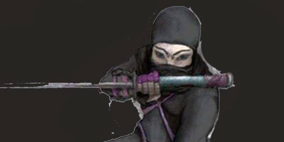deadly-female-ninja-assassins_0.jpg