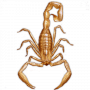 giant_scorpion6547.png
